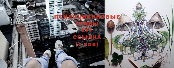 гашиш Абаза