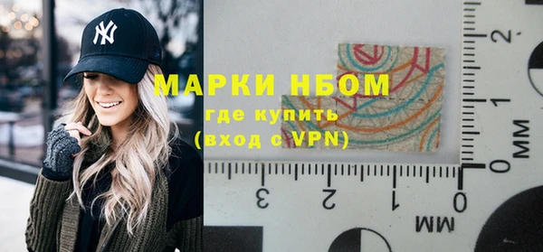 прущие грибы Медногорск