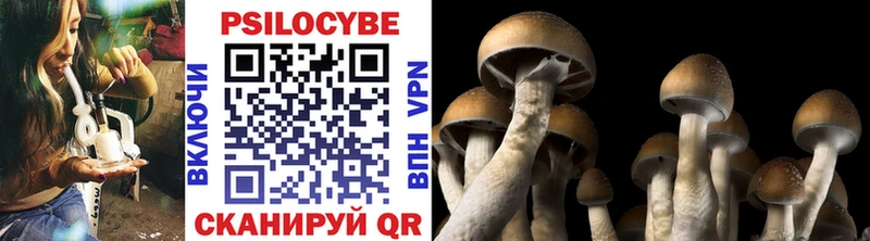Псилоцибиновые грибы Magic Shrooms  Серпухов 